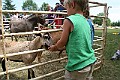 IMG_5304