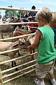 IMG_5305