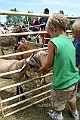 IMG_5306