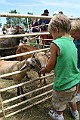IMG_5307
