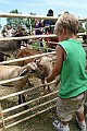 IMG_5308