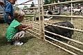 IMG_5311