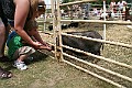 IMG_5315
