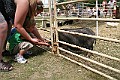 IMG_5316