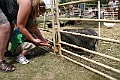 IMG_5317