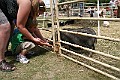 IMG_5318