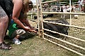 IMG_5319