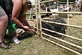IMG_5320