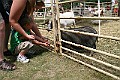 IMG_5321
