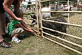 IMG_5322