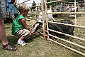 IMG_5323