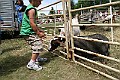 IMG_5325