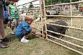 IMG_5326