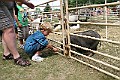 IMG_5327