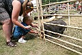 IMG_5328