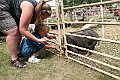 IMG_5329