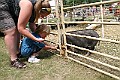 IMG_5330