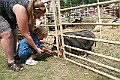 IMG_5331