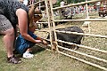 IMG_5332