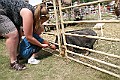 IMG_5333