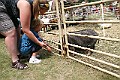 IMG_5334