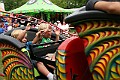 IMG_5489