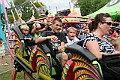 IMG_5517