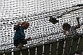 IMG_5571