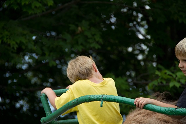 _MG_2929.jpg