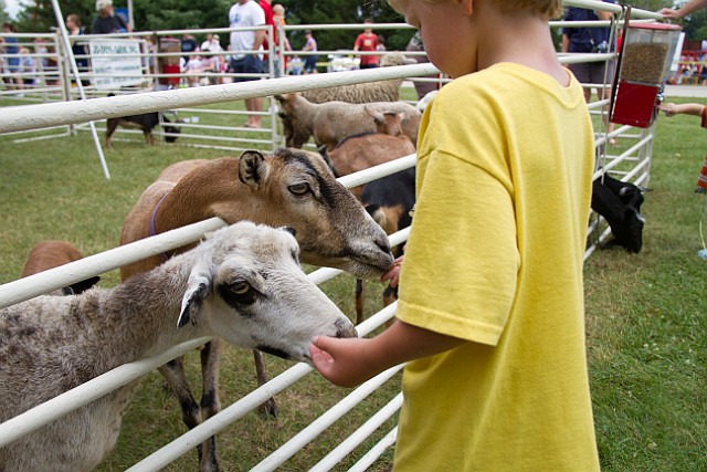 _MG_2938.jpg