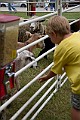 _MG_2939