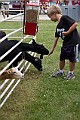 _MG_2943