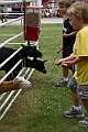 _MG_2944