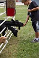 _MG_2948