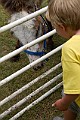 _MG_2958