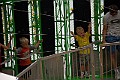 _MG_2979