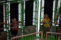 _MG_3032