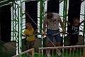 _MG_3033