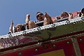 _MG_7513