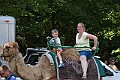 _MG_7535