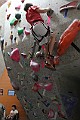 IMG_9378