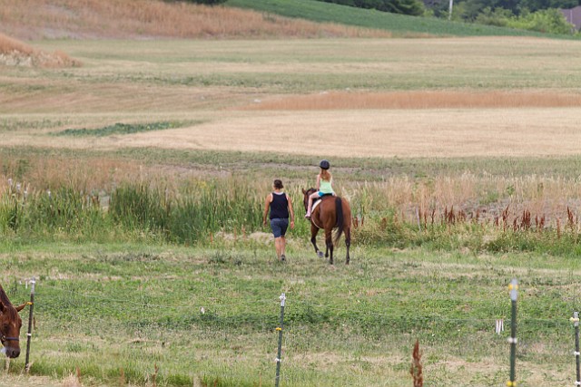 _MG_4392.jpg