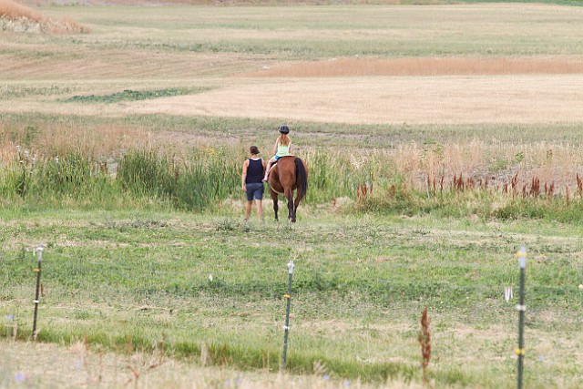 _MG_4393.jpg