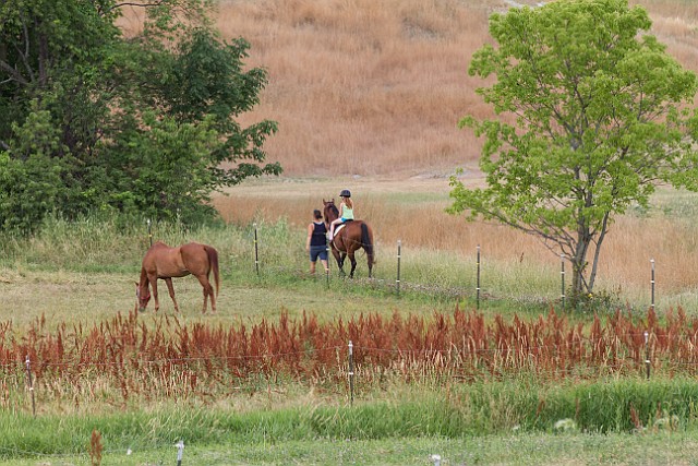 _MG_4397.jpg