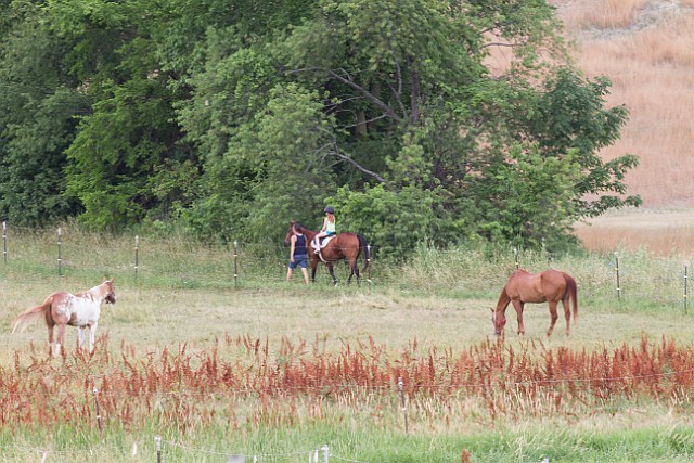 _MG_4398.jpg