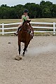 _MG_4325