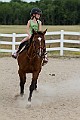 _MG_4335