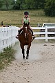 _MG_4355