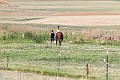 _MG_4393
