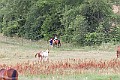 _MG_4399